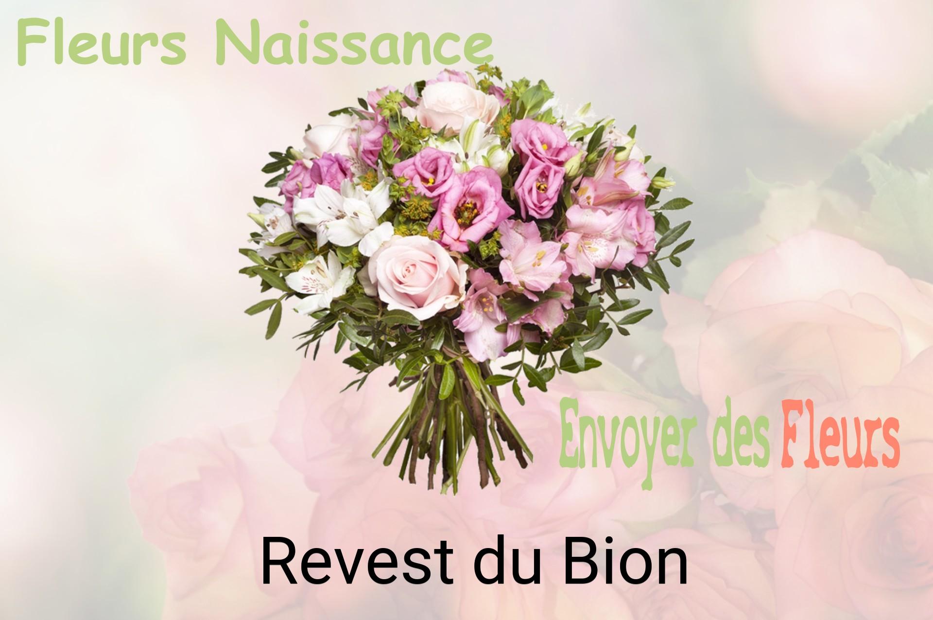 Bouquet de fleurs de naissance livré à Revest-du-Bion